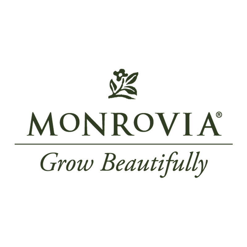 Monrovia Greenwood Creek Nursery