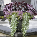 Load image into Gallery viewer, Coral Bells, Dressed Up Evening Gown #1