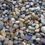 Load image into Gallery viewer, River Jack, Delaware Valley 3"-5"