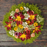 Load image into Gallery viewer, Daylily, Rainbow Rhythm Tiger Swirl #2