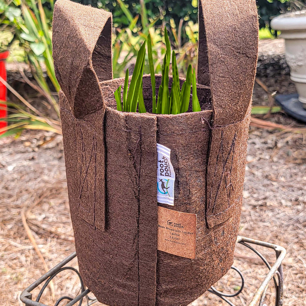 Fabric Pot w/Handle #7 – Greenwood Creek Nursery