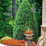 Load image into Gallery viewer, Holly, Oakland 8' B&B