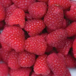 Load image into Gallery viewer, Raspberry, Caroline #3