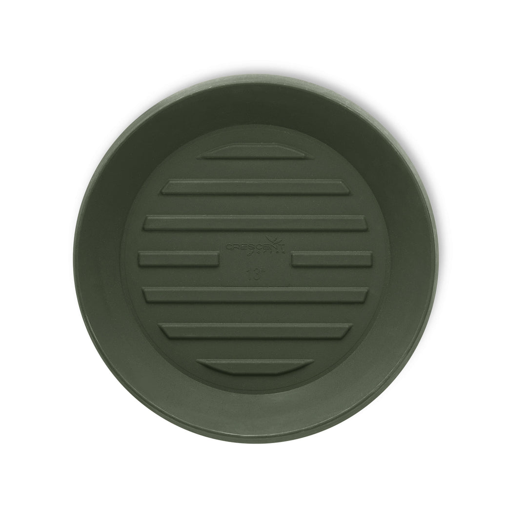 Saucer 11" Olive