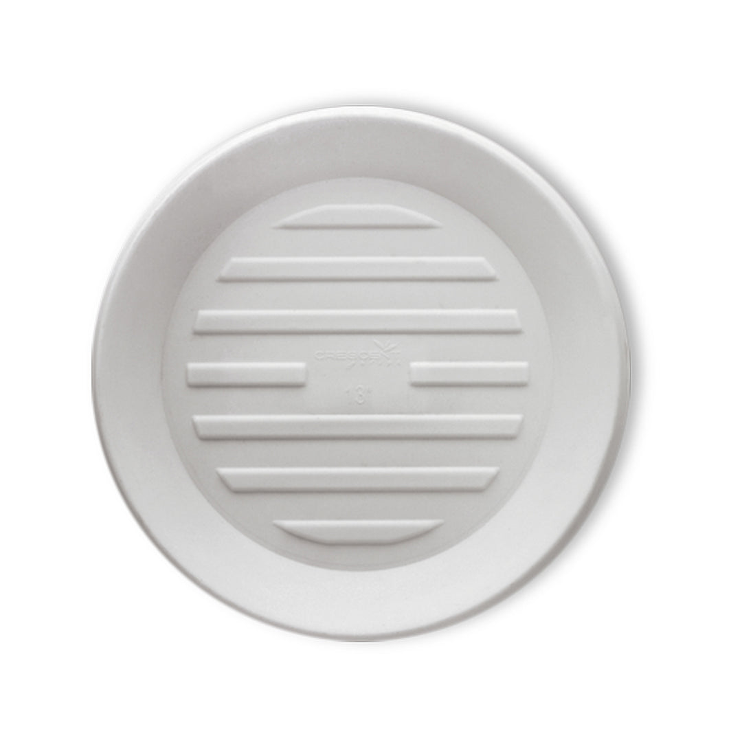 Saucer 11" Alpine White