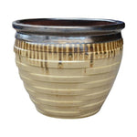 Load image into Gallery viewer, Techno 21" Gold / Yellow / Cream