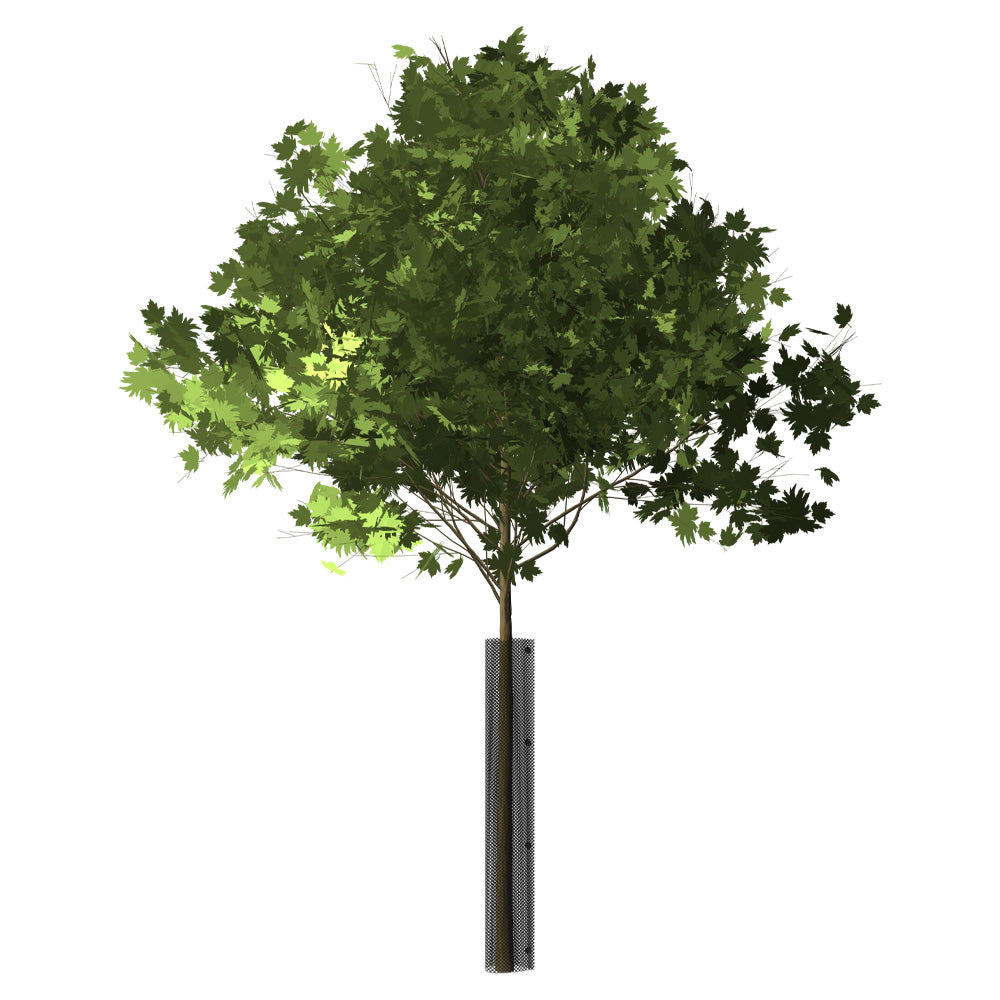 Tree Truck Shield 19" x 48"