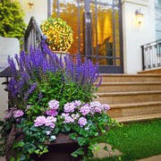 Grow a Calming Container Garden