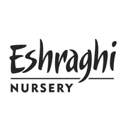Eshraghi Nursery