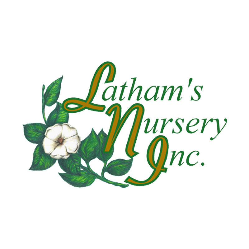 Latham's Nursery