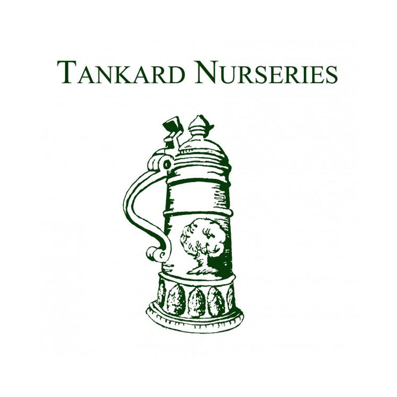 Tankard Nurseries