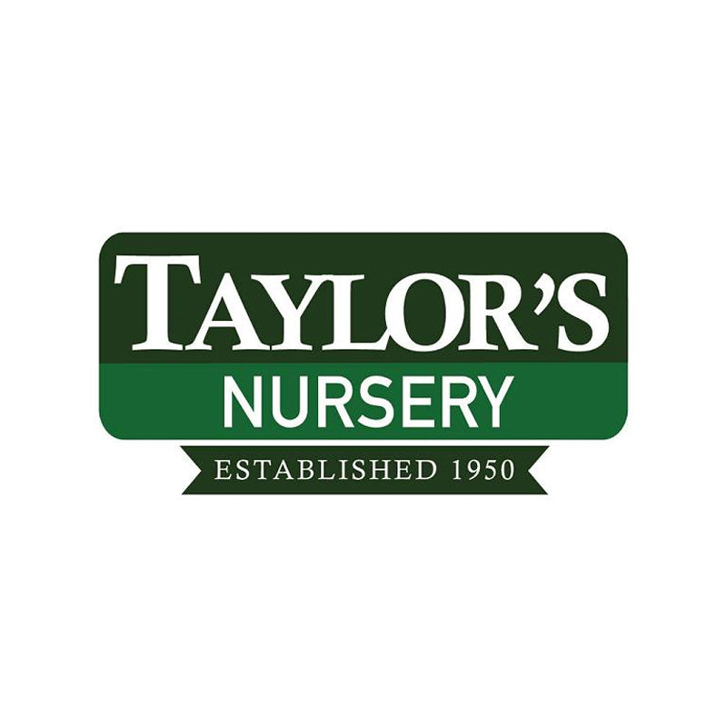 Taylor's Nursery