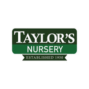 Taylor's Nursery