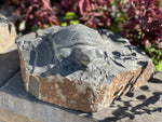 Load image into Gallery viewer, Statuary, Sea Turtle Green Basalt 10&quot;
