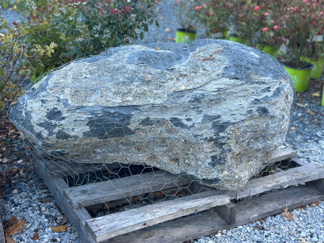 Boulder, PA River Large-1 per