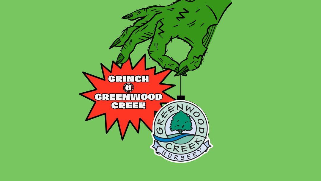 Visit with the Grinch