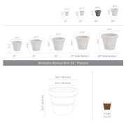 Brunello 16'' Parchment