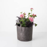 Fabric Pot w/Handle #3