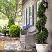 Holly, Emerald Colonnade #15