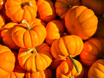 Load image into Gallery viewer, Pumpkin, Orange Small

