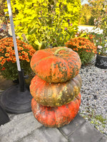 Load image into Gallery viewer, Pumpkin, Fancy Lg
