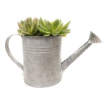 Load image into Gallery viewer, Succulent, Watering Can 5&quot;
