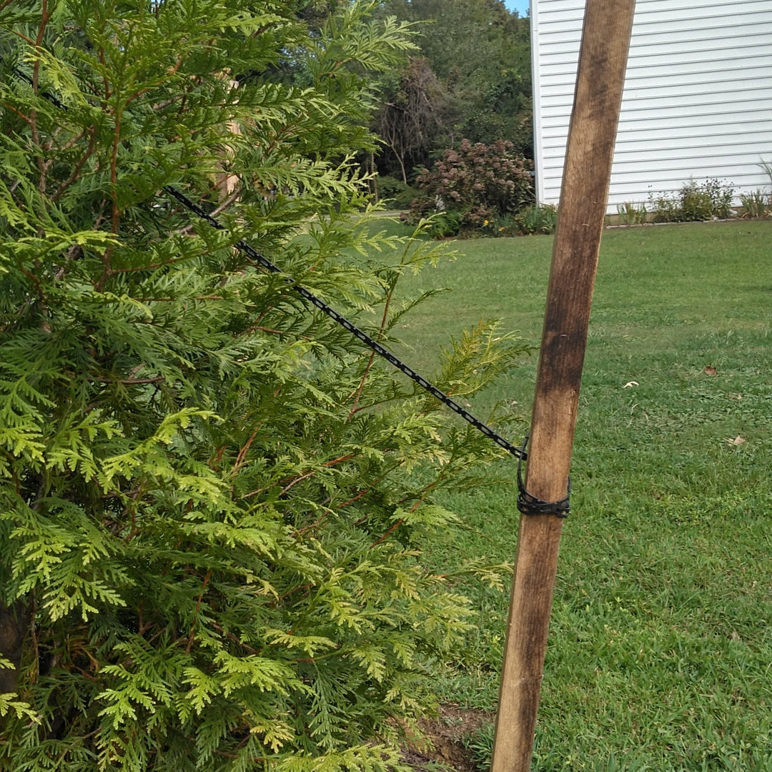 Tree Staking Chain, LF – Greenwood Creek Nursery