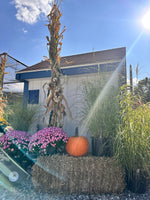 Load image into Gallery viewer, Fall decor, large bundle
