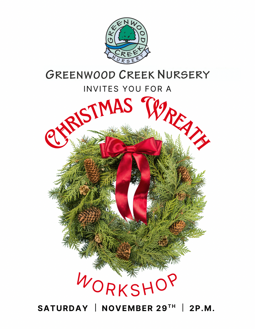 Wreath workshop