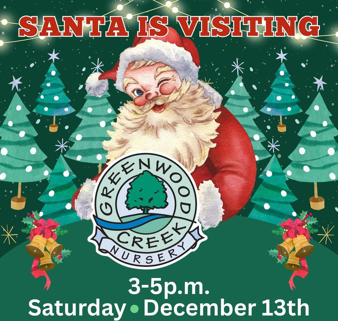 Visit with Santa