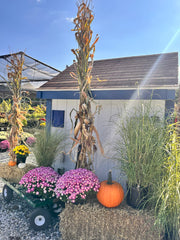 Fall decor, large bundle