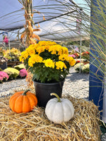 Load image into Gallery viewer, Fall decor, mini bundle
